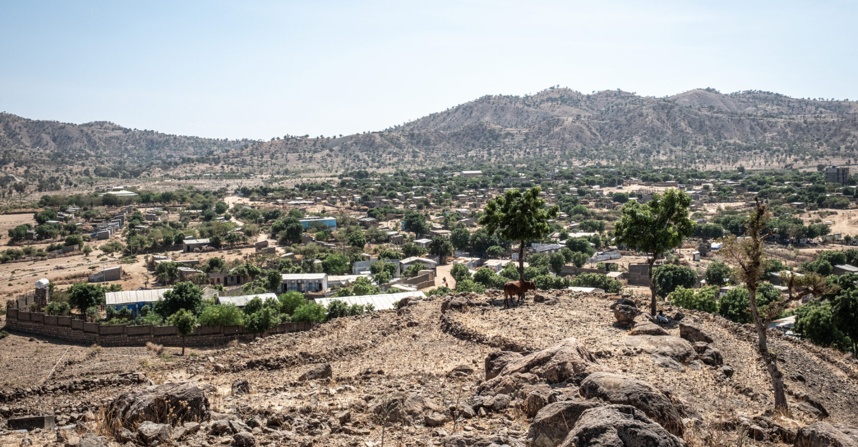 Ethiopian Migrants in Libya: Why Tigray’s Displaced Are Risking the Journey to Europe
