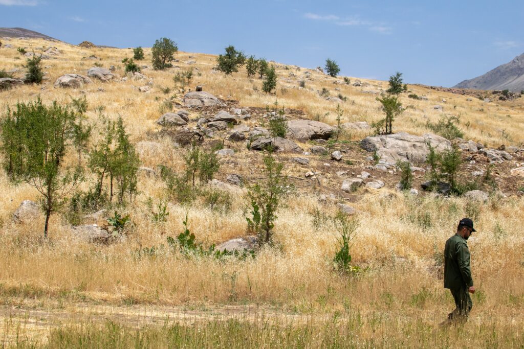 Between 2019 and 2023, around 36.6 square miles of territory was cleared of landmines (Winthrop Rodgers)