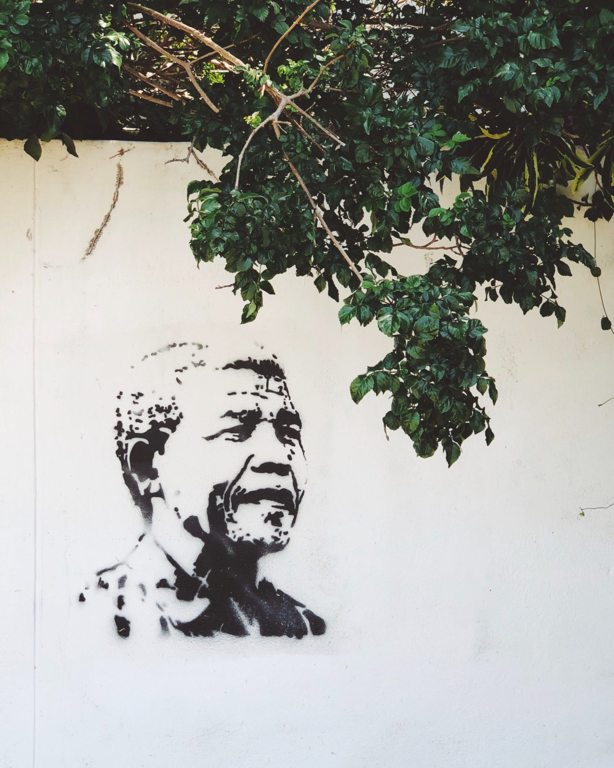 nelsen mandela, apartheid, South Africa