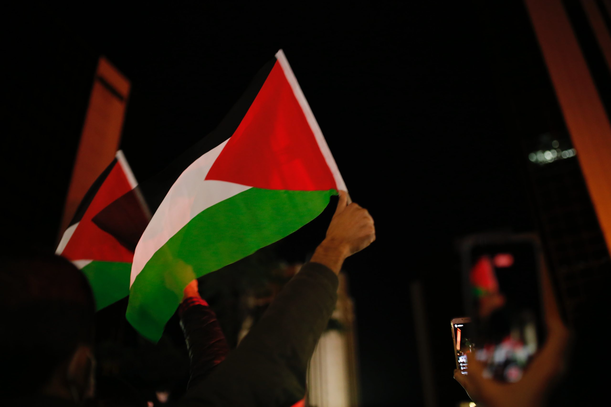 palestine, protest, black lives matter