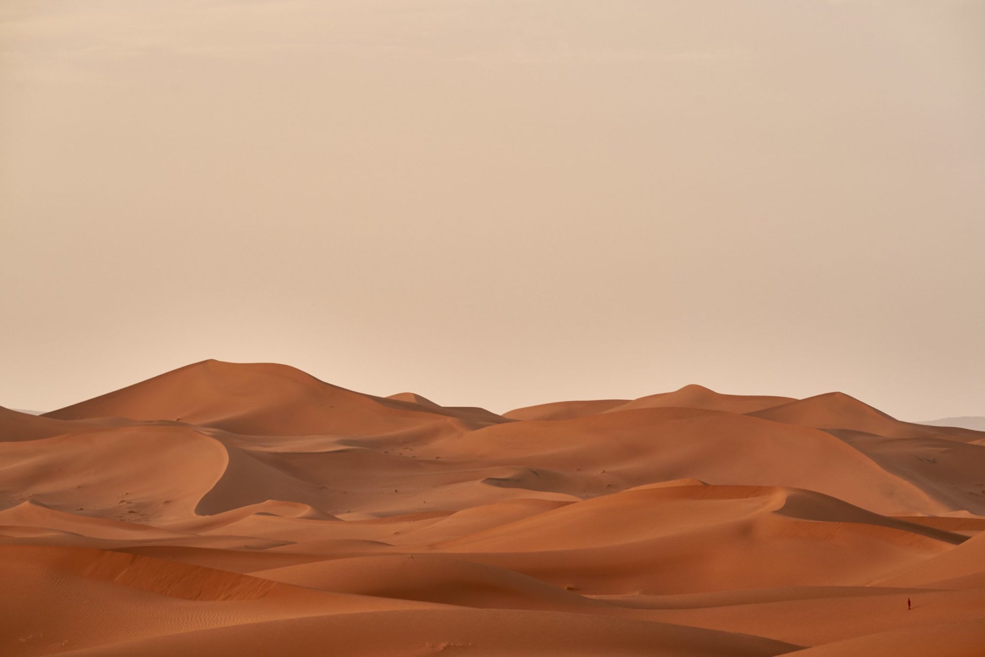 dune arab Frank Herbert muslim middle eastern
