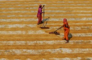 women, laborers, India