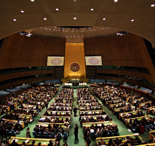 Democracy’s Moment at the UN