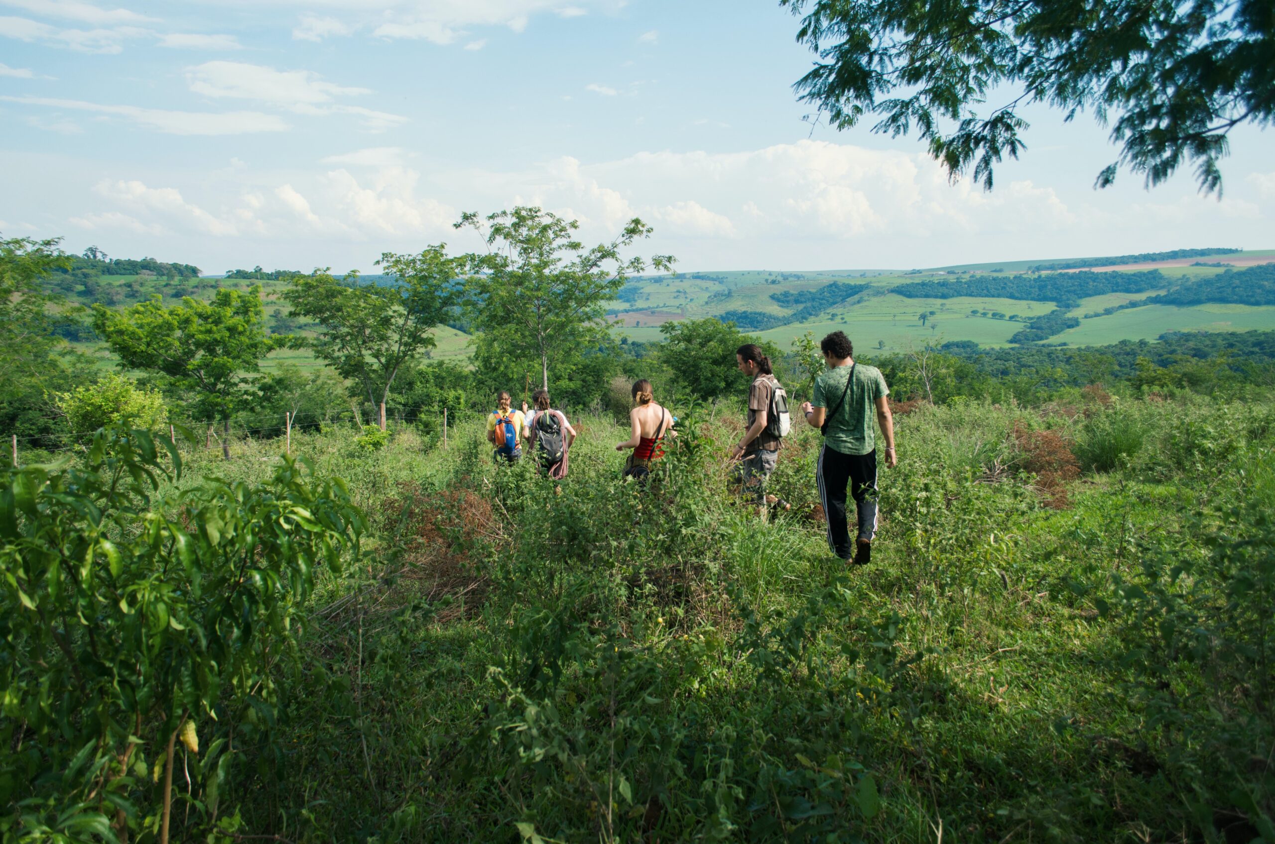 Brazil, climate change, rain