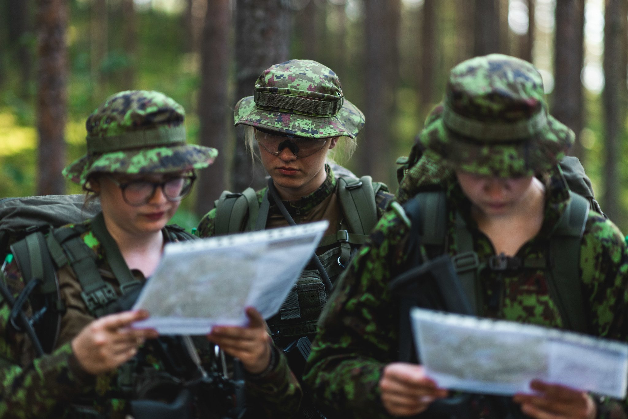 53933192695_dc12490bda_k