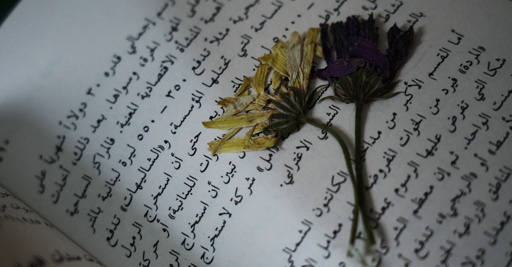 In 2006, Israel waged a 34-day war in southern Lebanon (Lina Malers)