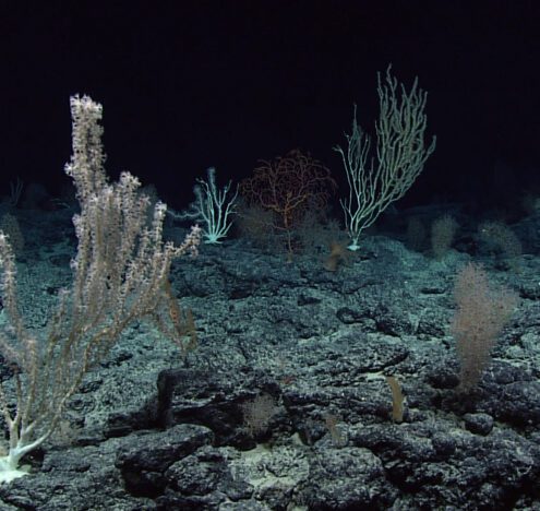 Are China’s Deep-Sea Mining Vessels Surveilling US Submarines?