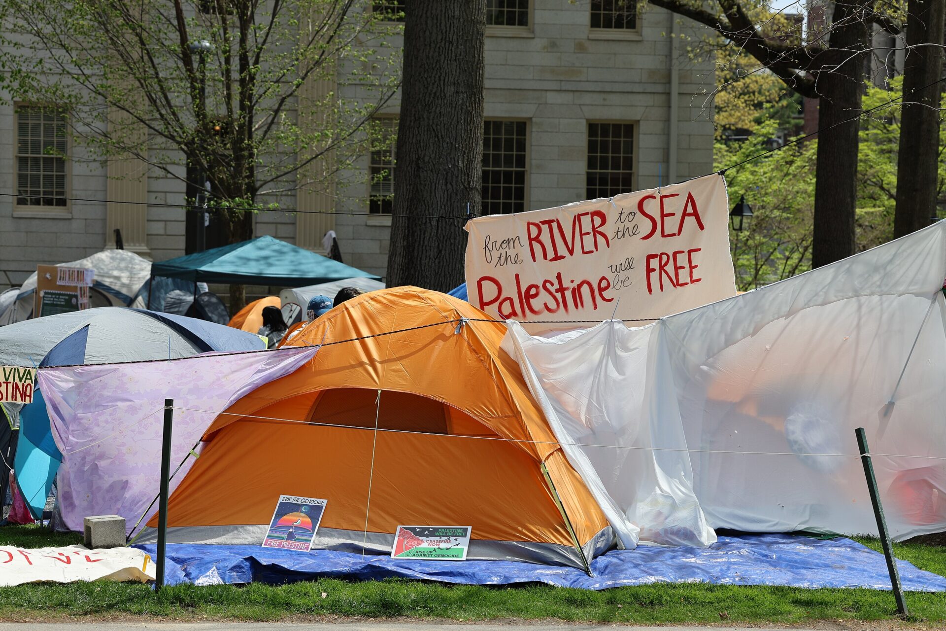 At Harvard University, students organized the "Free Palestine" encampment in solidarity with Gaza amid Israel's war on the Strip (Dariusz Jemielniak via Wikimedia Commons)