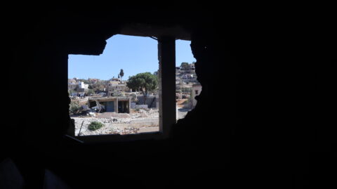 Lebanon’s Farmers Risk Their Lives for the Season’s Last Olives