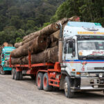 Deep Dive: The Timber Threat to Malaysia’s Indigenous Iban