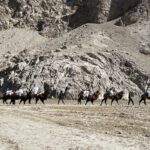 Inside Afghanistan’s Compounding Crises