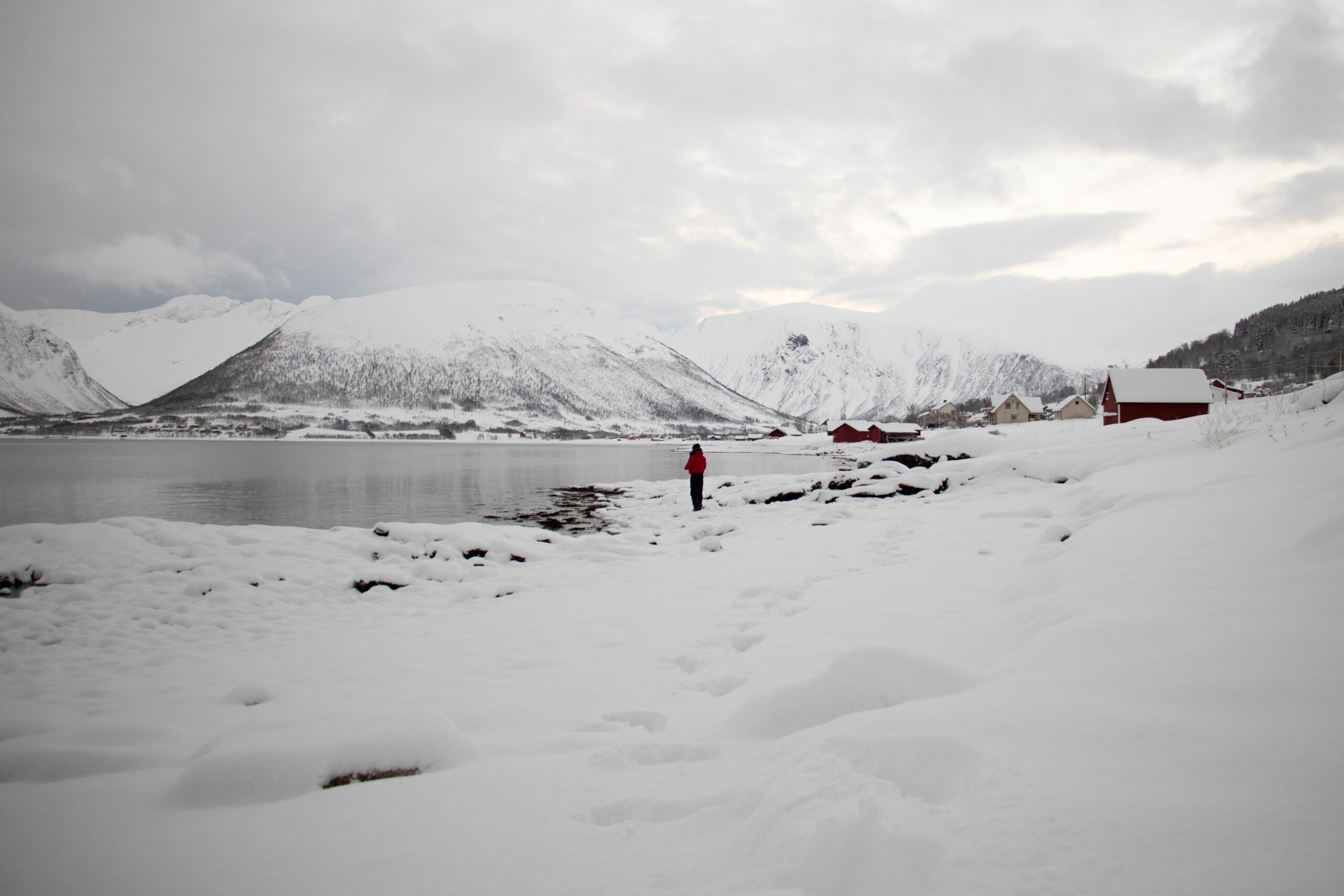 angela-compagnone-VkLxwQg9Mkc-unsplash