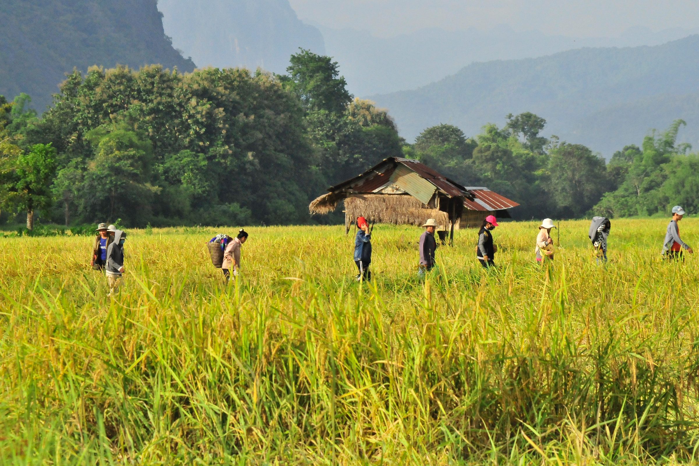 Laos, UXO, cleanup