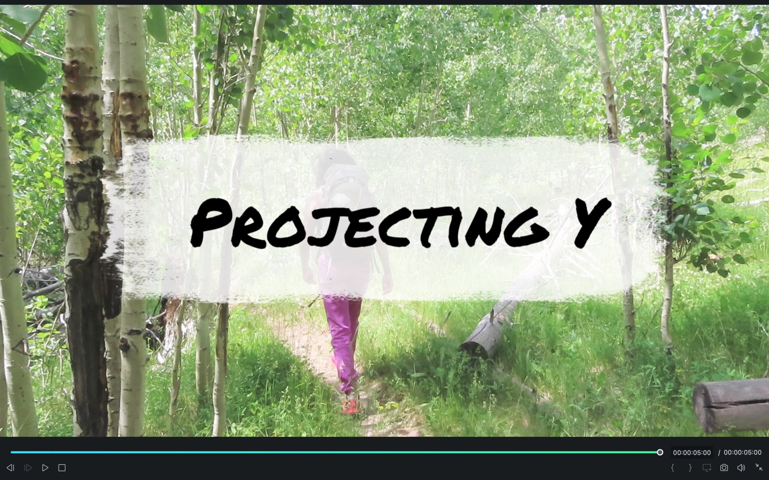 Film Still of "Projecting Y"