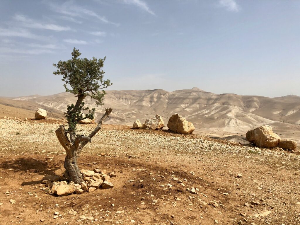 Resisting Palestinian Erasure in an Age of Genocide