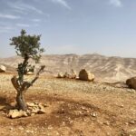 Resisting Palestinian Erasure in an Age of Genocide