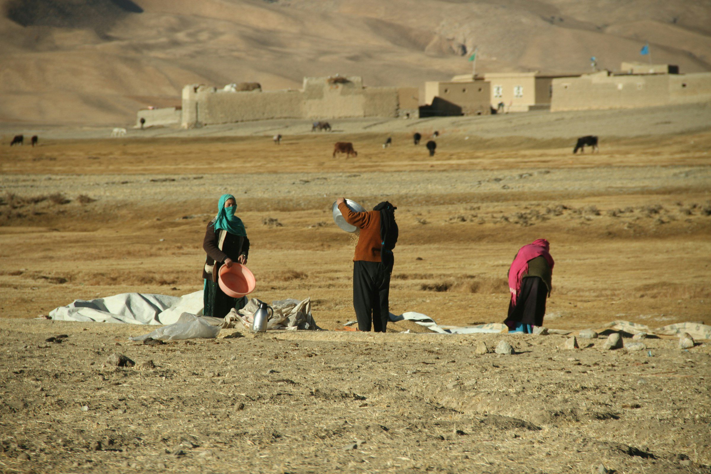 A group of women stand in a field in central Afghanistan's Bamyan Province (Farid Ershad via Unsplash)