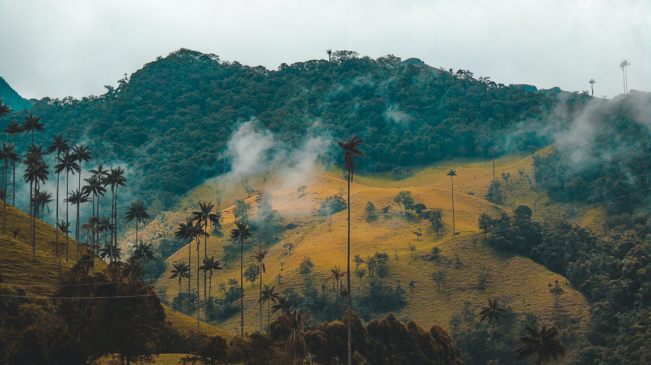 rolling colombian hills