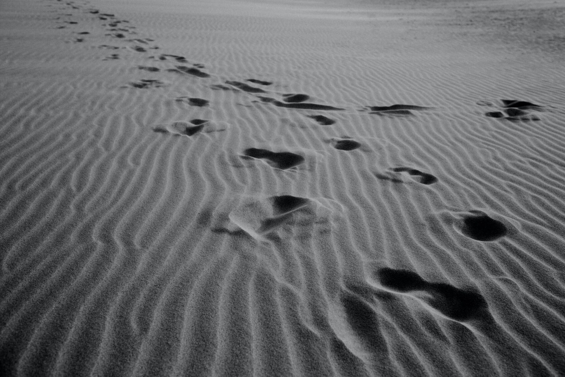 footprints on sand during the daytime