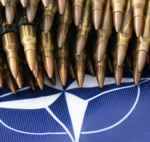 The Hidden Costs of NATO’s 5% Goal 