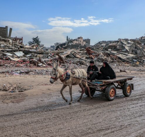 Postcard from Gaza: Resilience in the Face of Israel’s War