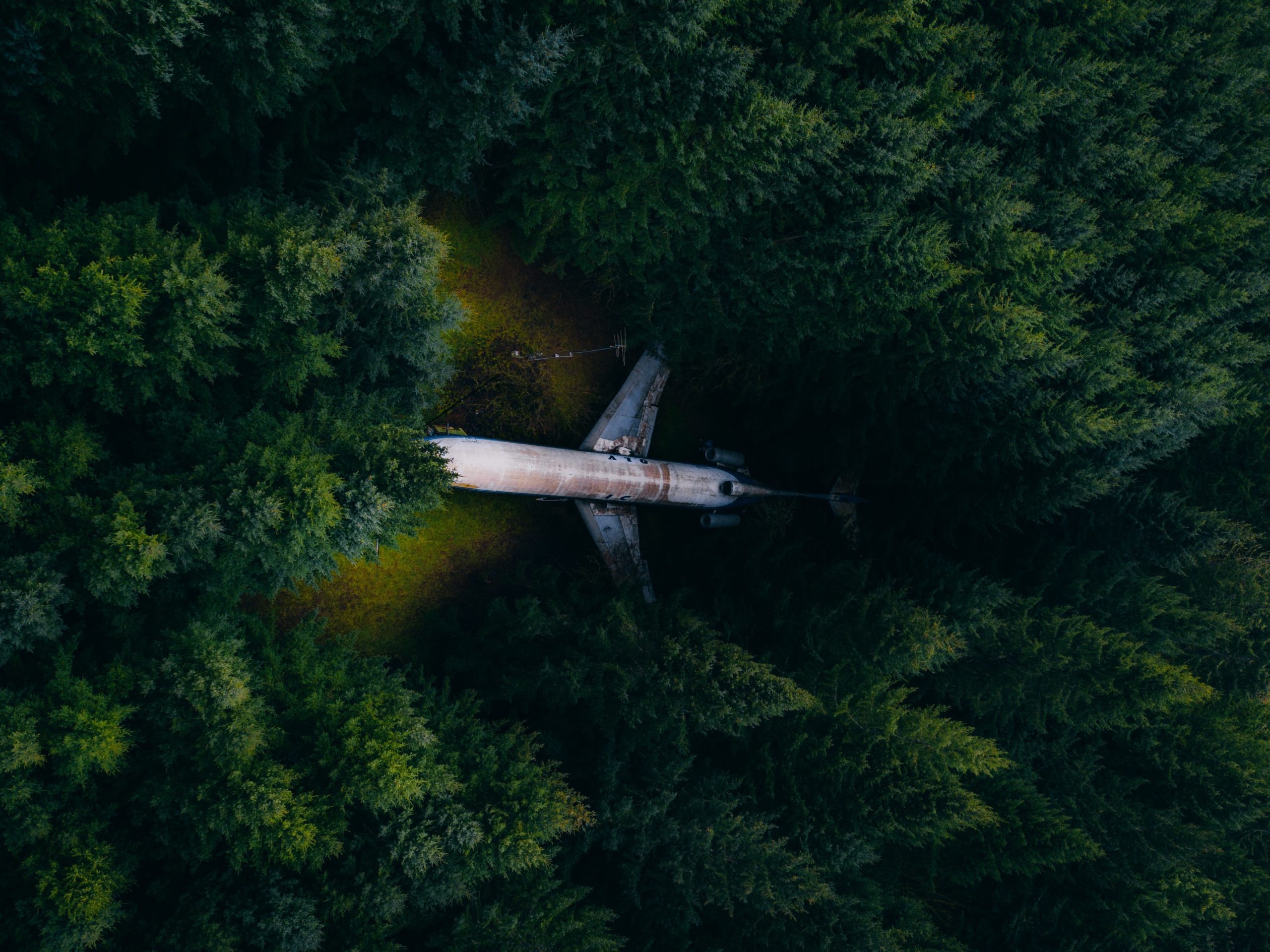 nick-chung-SS0X2n8Y4WE-unsplash-scaled-1