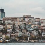 The Long Struggle to Save an Istanbul Grove Pays Off