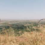 From Gaza to Ukraine, AI is Transforming War