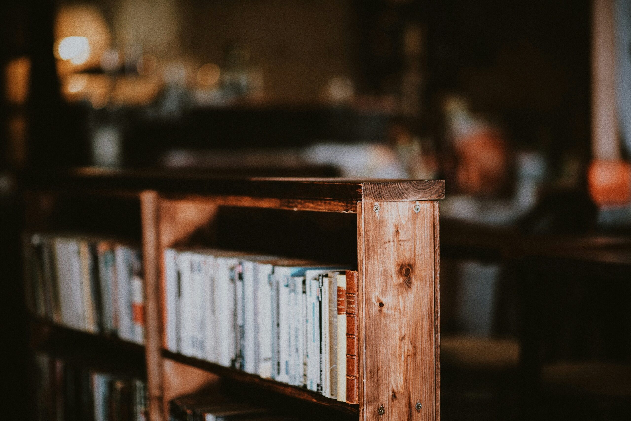 A photograph shows aged books on a shelf in Berlin (Roman Kraft via Unsplash)